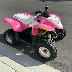 07 Polaris Phoenix 200