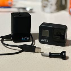 GoPro Hero 8 + Black Dual Battery Charger + 2 Batteries (PERFECT CONDITIONS) 