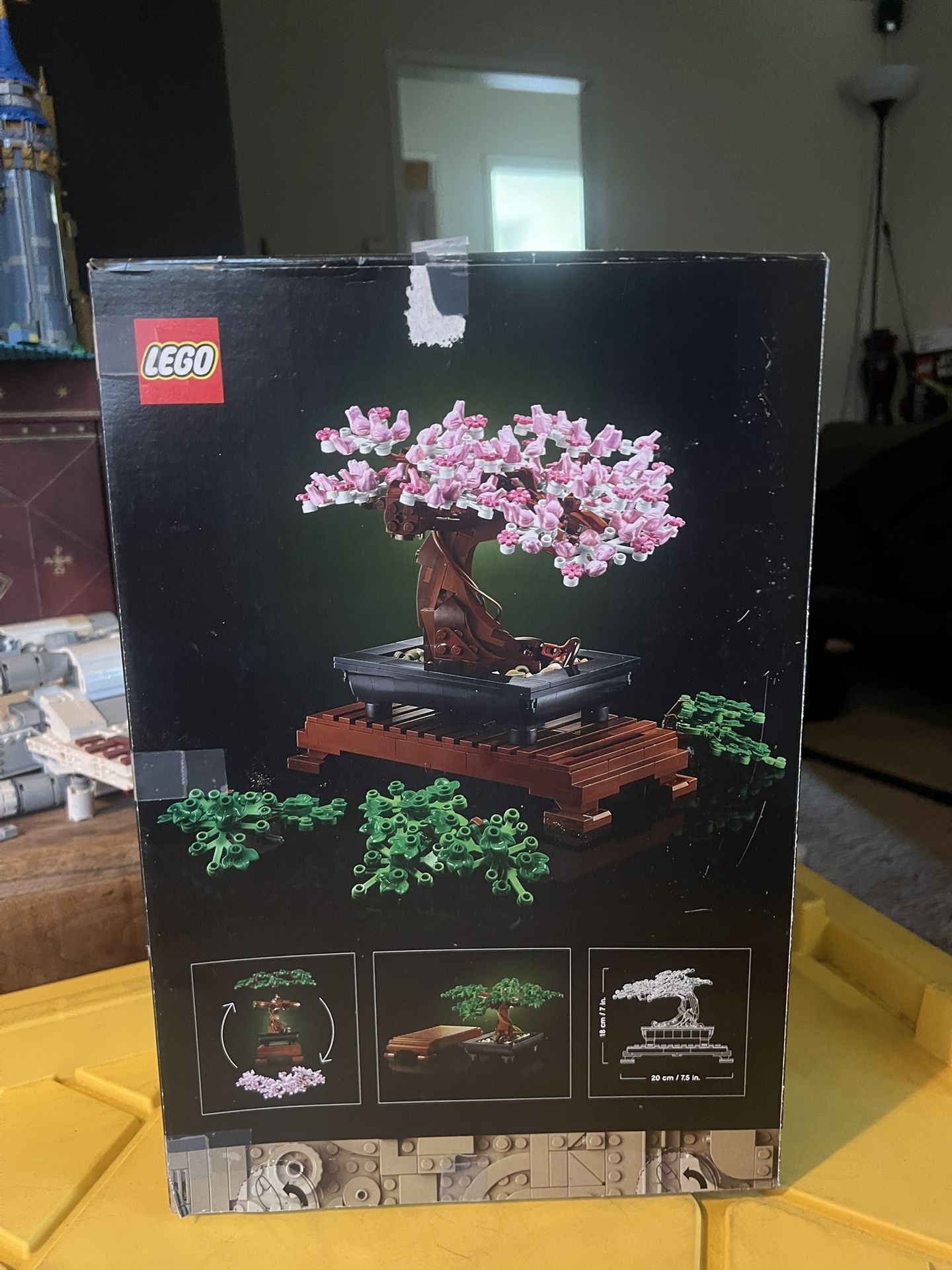 BONSAI TREE ( Botanical Collection)