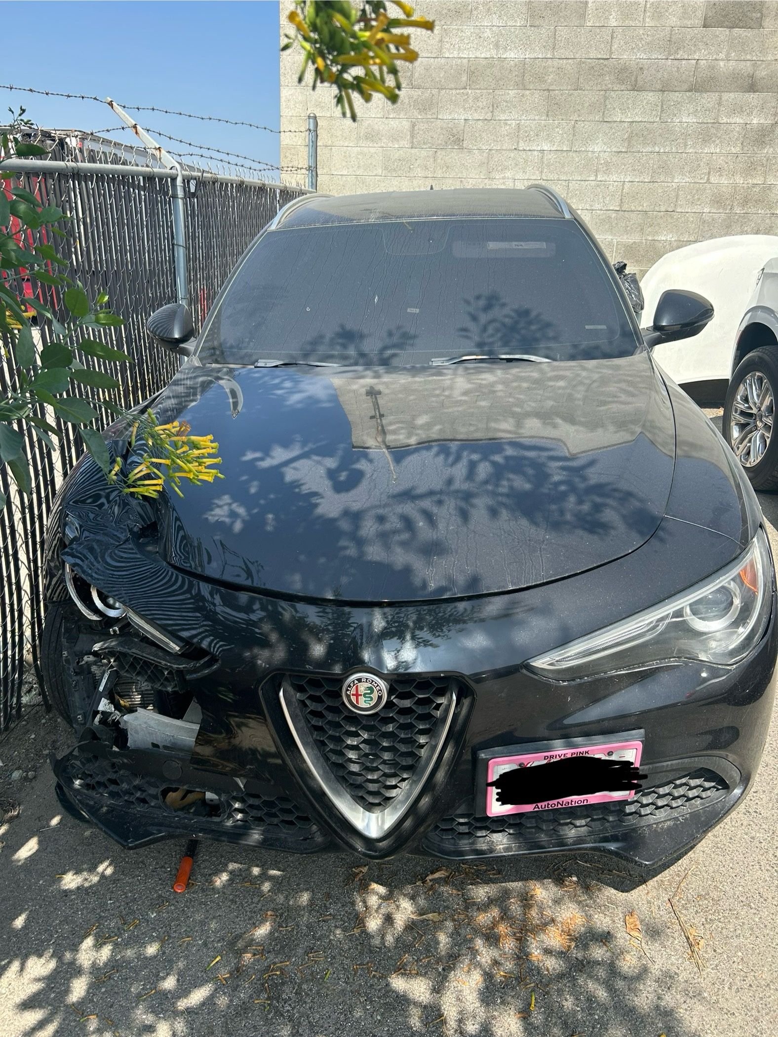 2019 Alfa Romeo Stelvio
