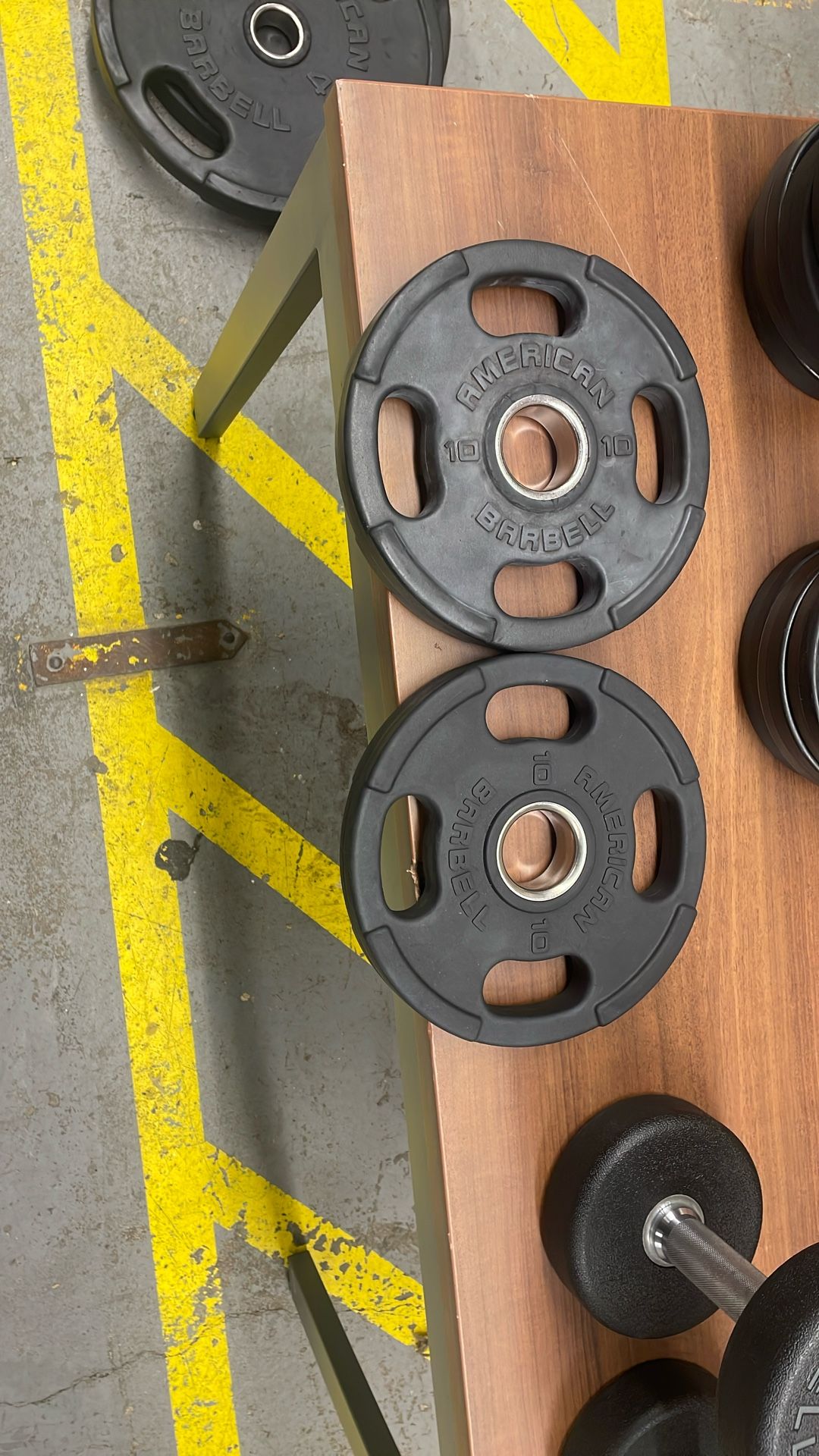 10 Pound Weight Plates 