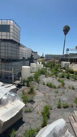 Water Containers IBC Tanks