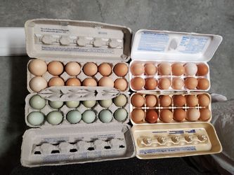 Farm Fresh Free Range Ducks Eggs