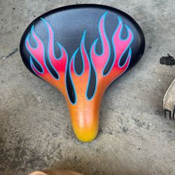 Bicycle seat with frames on it
