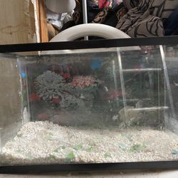 Aquarium Tank