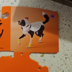 Dog Costume 
