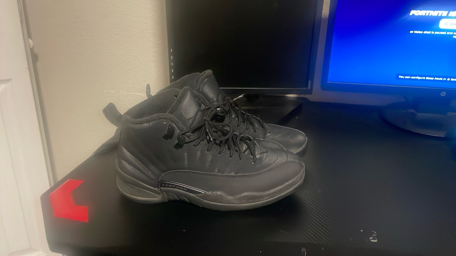 Jordan 12 Retro Winter