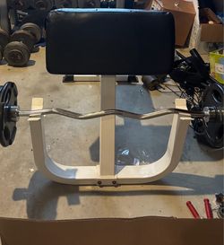 Preacher curl Bench