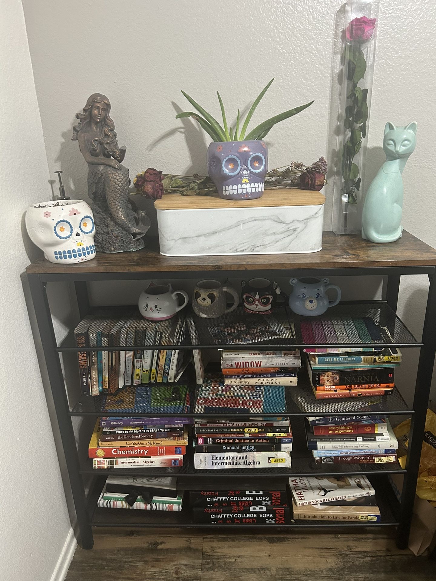 Shelf Storage / Book Shelf