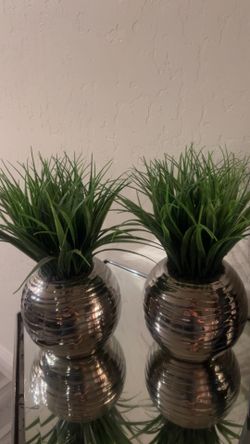 Home plant decorations