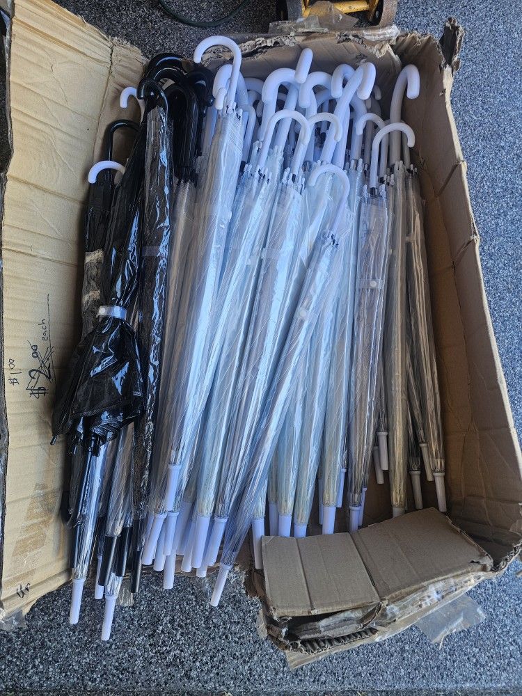 50 Clear 7 Black Umbrellas 
