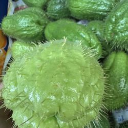 For Sale Chinese Spiky Squash