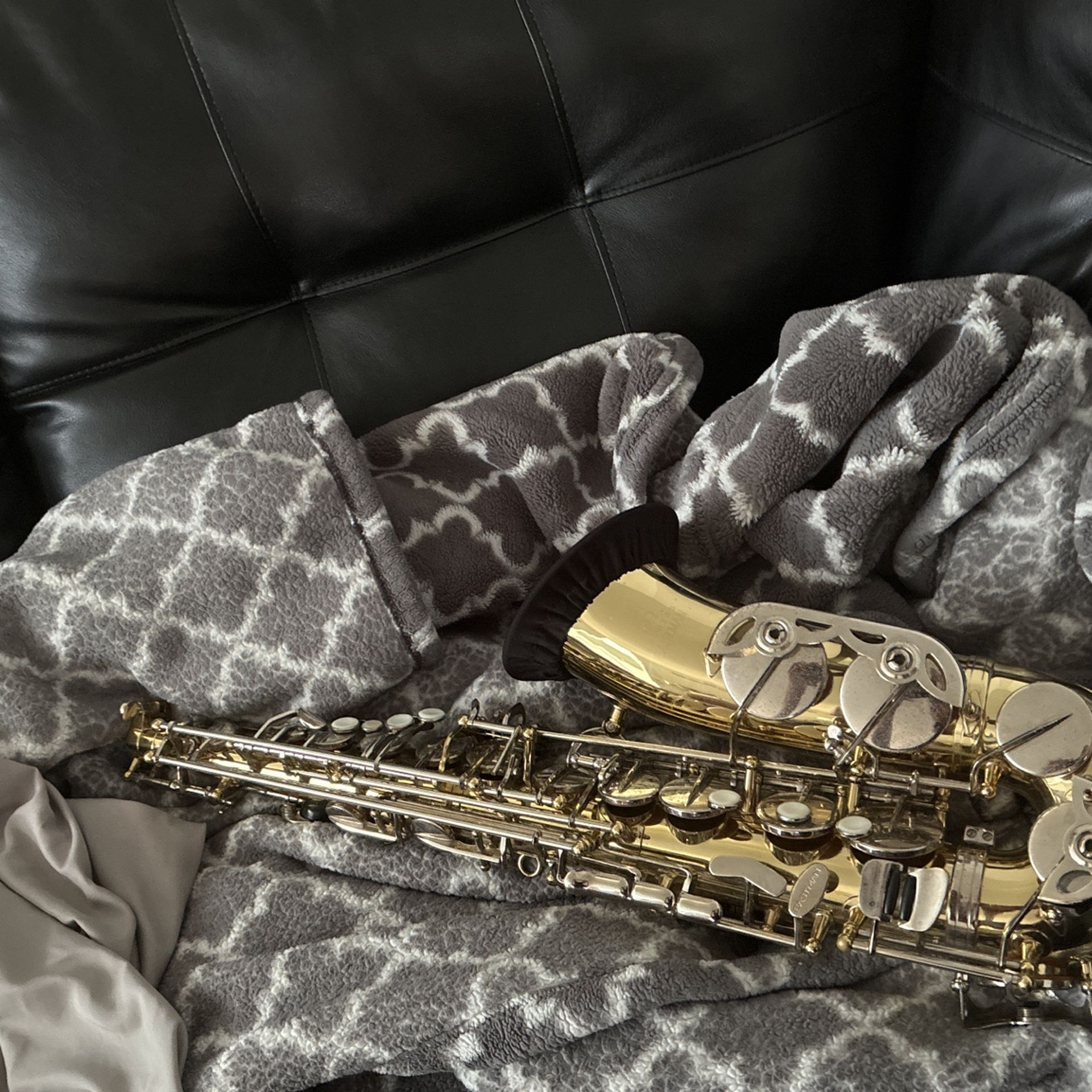 Andreas Eastman Alto Saxophone