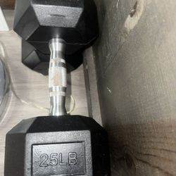 25 Lbs Weights