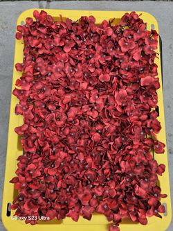 Red Floral Pannel