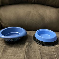 Cat Food And Water Bowl