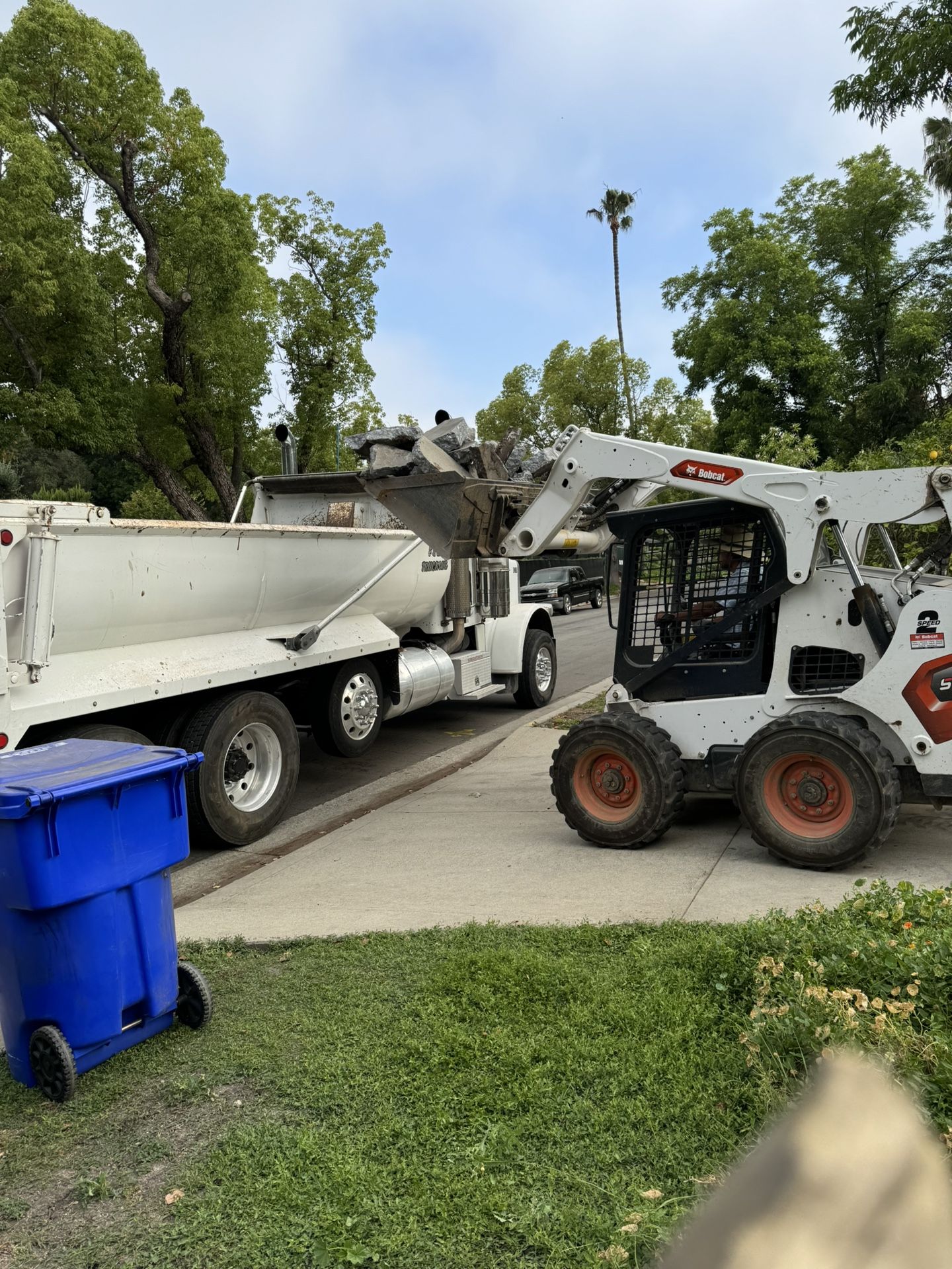 Bobcat Demo