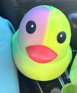 Duck Squishy