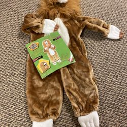 Lion Halloween Costume Size 2-3 Toddler