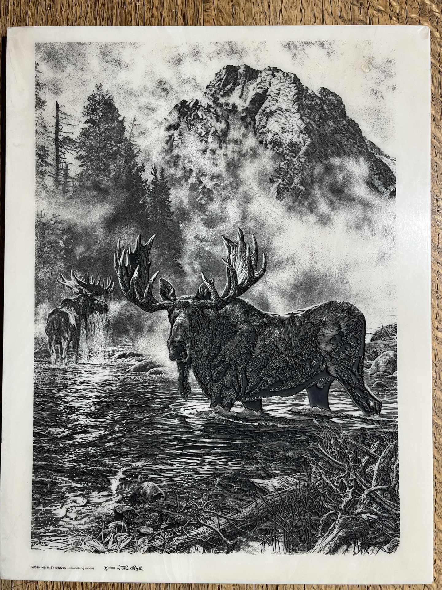Bill O’Neill “Morning Mist Moose” 1981 Etched Marble Plaque - Made in Montana