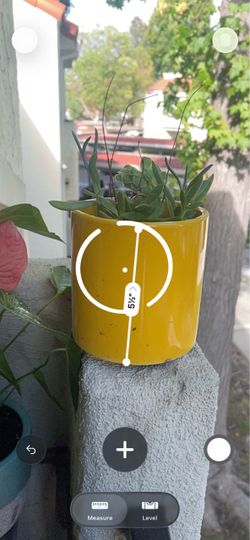 Yellow Glazed Ceramic Planter with Plant - 3 items