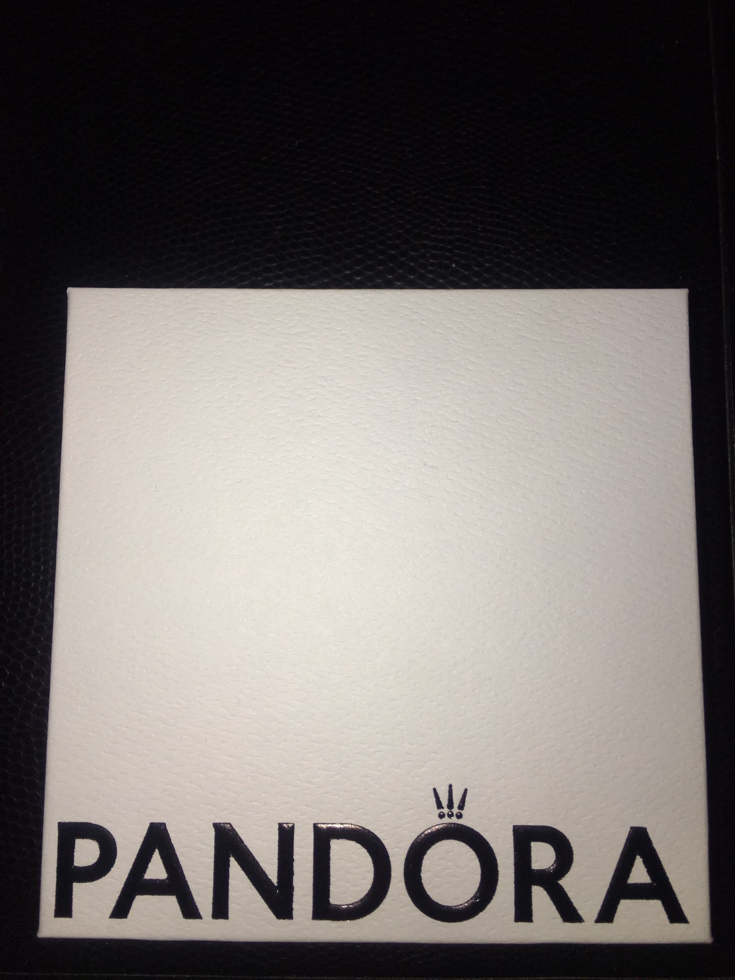 Silver Pandora Bracelet