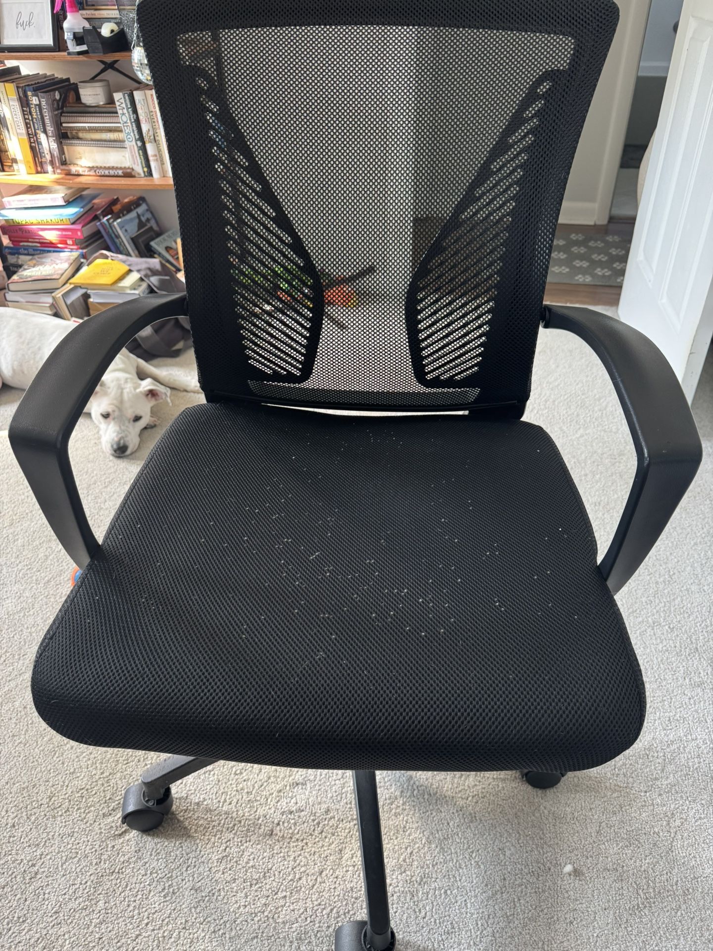 Free Desk Chair