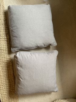 2 Brand New Down Pillows- Living Spaces.