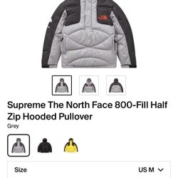 Supreme North face 800 Jacket 