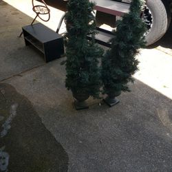 For Front Porch Trees 