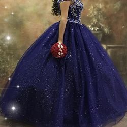Quinceañera Dress $280