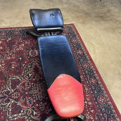 Bowlex Bench 