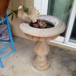 Bird Bath