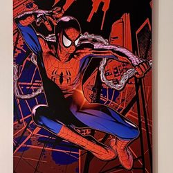 Wall Art, Large Spider-Man Canvas