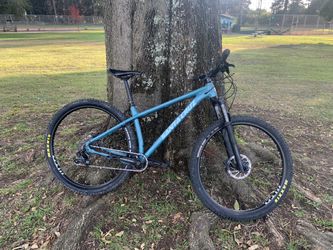 Santa cruz chameleon sales 2019 for sale
