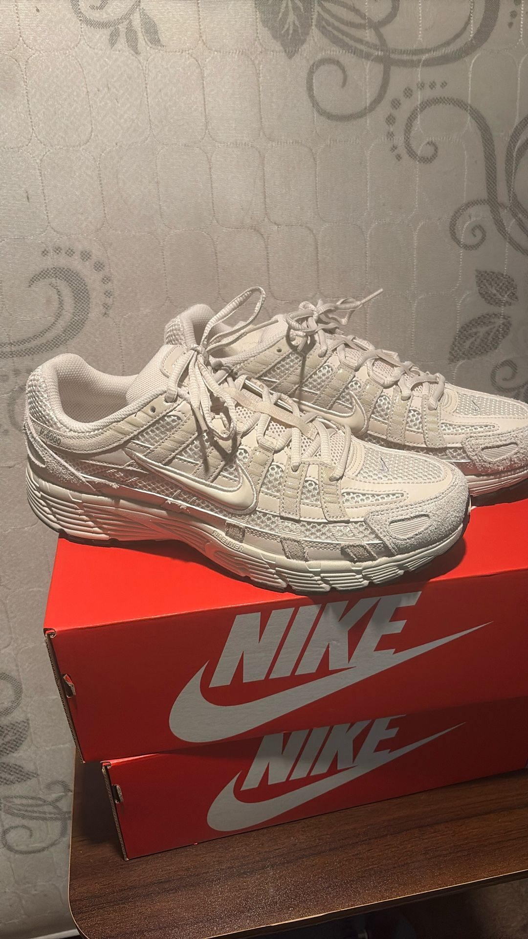 Nikes P-6000