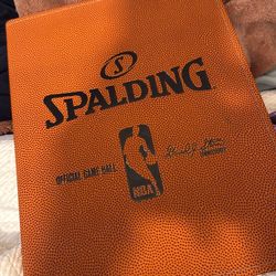 Spalding nba pebble portfolio
