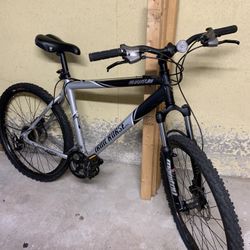 Iron Horse Quantum Bicycle 