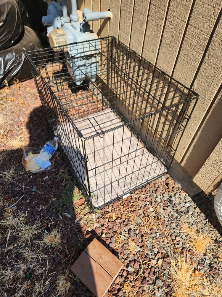 Pet Case