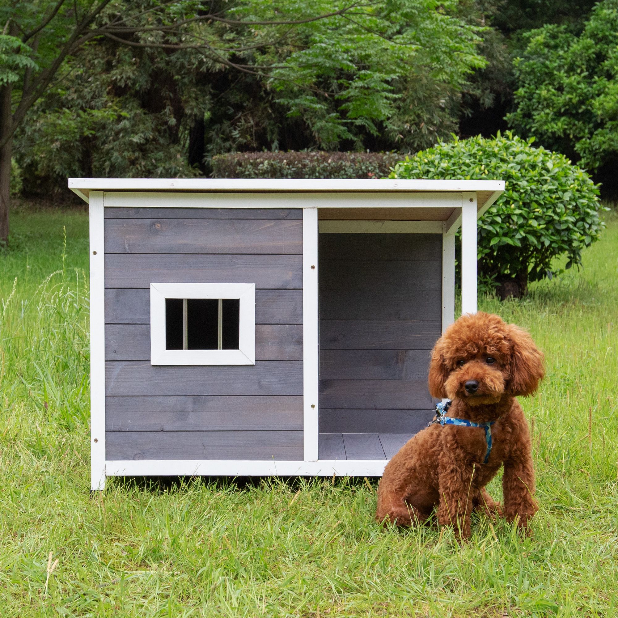Indoor Outdoor Elevated Cat Dog Puppy Kennel Wooden Pet House Shelter Waterproof