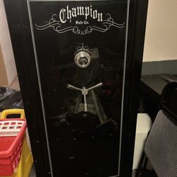 Champion medalist 22 Gun Safe