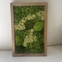 Moss art 18x12