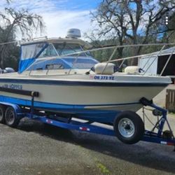 seeking boat fishing Coronado islands $200