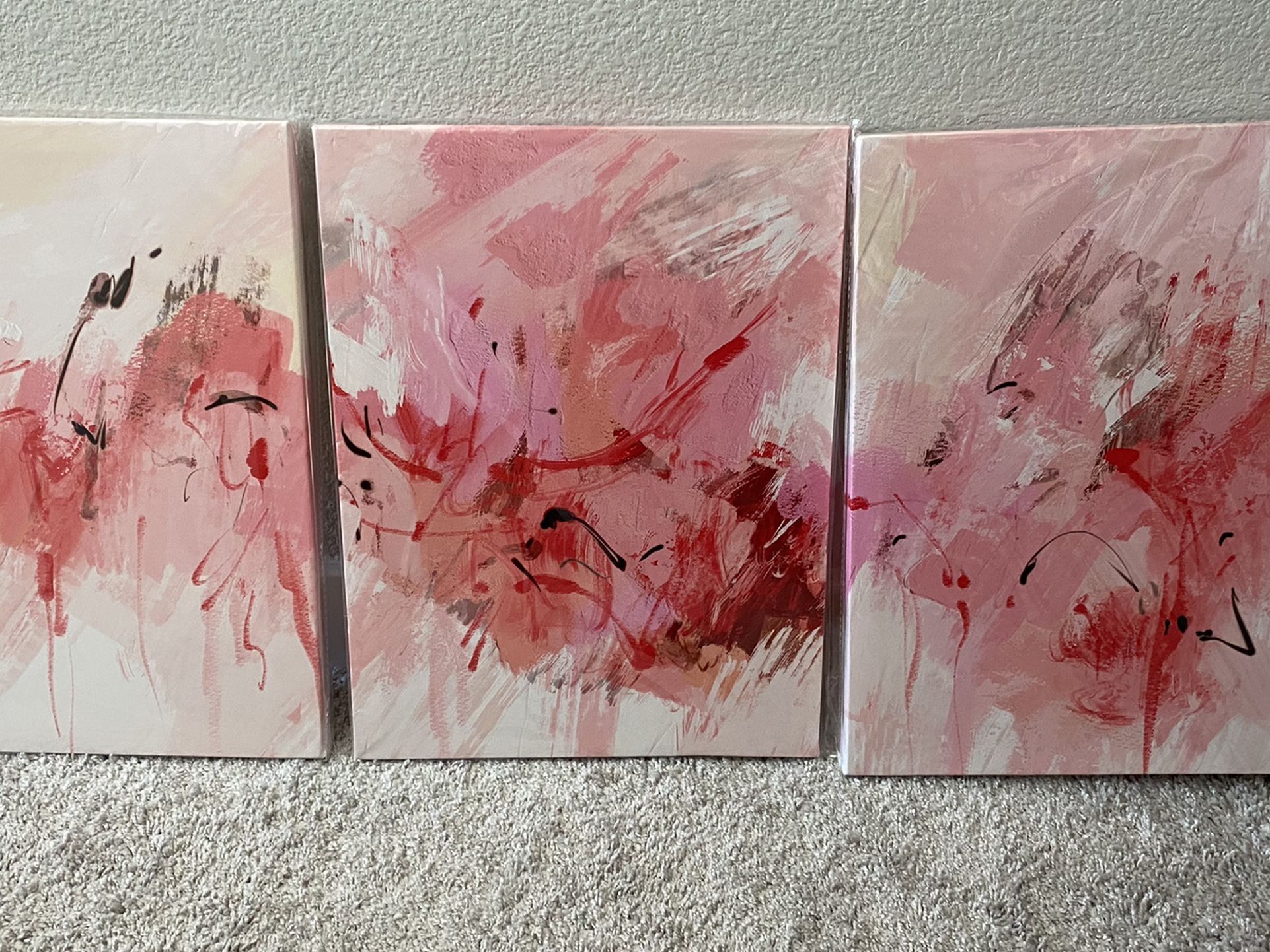 Pink abstract Art Canvas Frames
