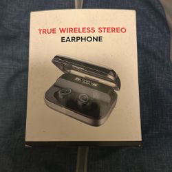Wireless Earbuds 