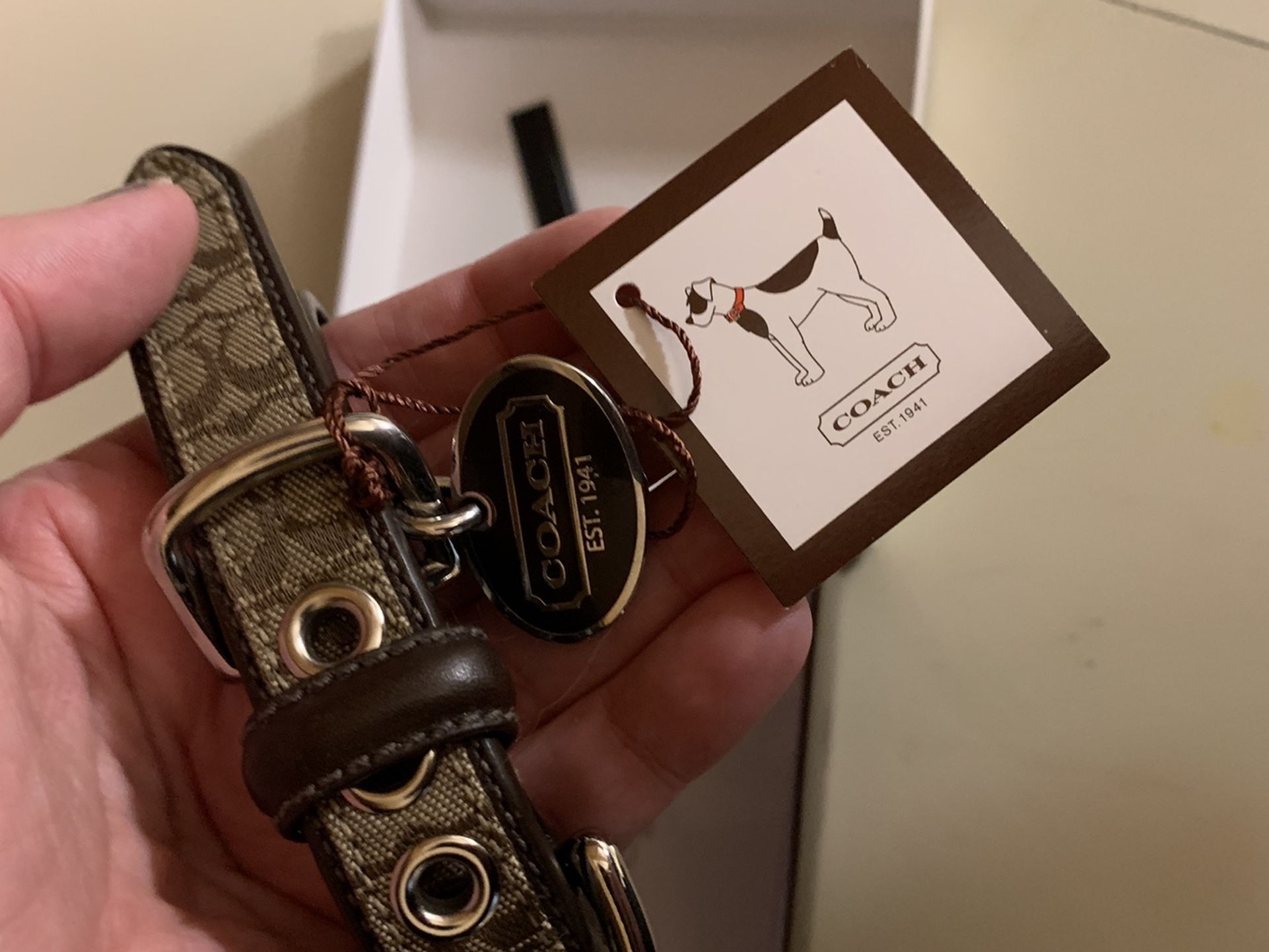 Coach Dog Collar