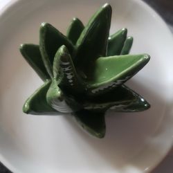 Ceramic Aloe Ring Holder,Cactus Ring Dish for Jewelry,Birthday Gifts for Women,Jewelry Holder Trinket Tray for Rings,Jewelry Holder Trinket Tray for R