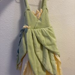 Disney Princess Tiana Dress 