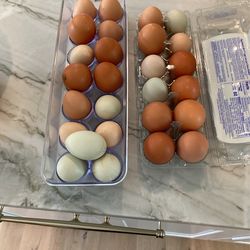 Farm Fresh Eggs