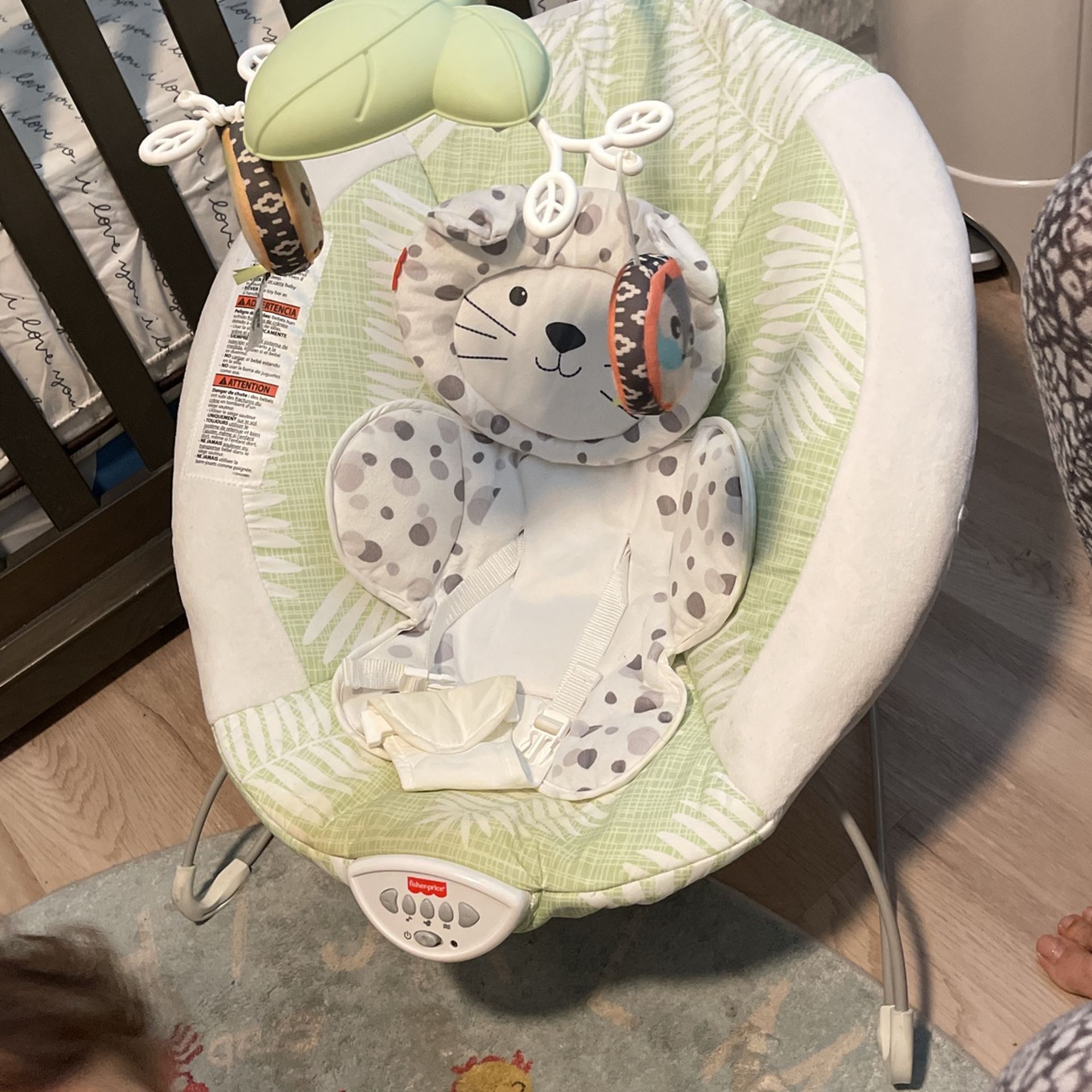 Baby Bouncer